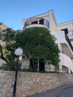 Apartments Djurovic - Petrovac